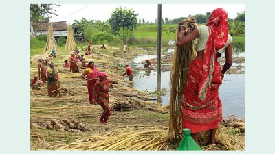 ओरालोमा जुट निकासी : १६ अर्ब रुपैयाँको जुट निकासी ६…
