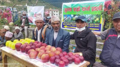जुम्लामा तेस्रो स्याउ महोत्सव : स्याउको बजारीकरण र ढुवानीमा राज्यले…