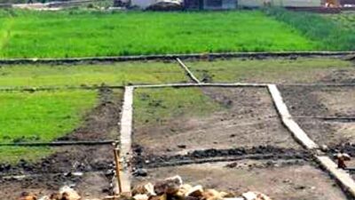 सरकारले खुलायो जग्गाको कित्ताकाट