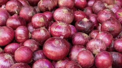 भारतद्वारा प्याज निर्यातमा ४० प्रतिशत महसुुल