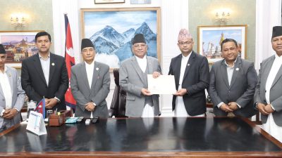 सहकारी ठगी प्रकरणः यस्तो छ टीओआरबारे ४ बुँदे सहमति